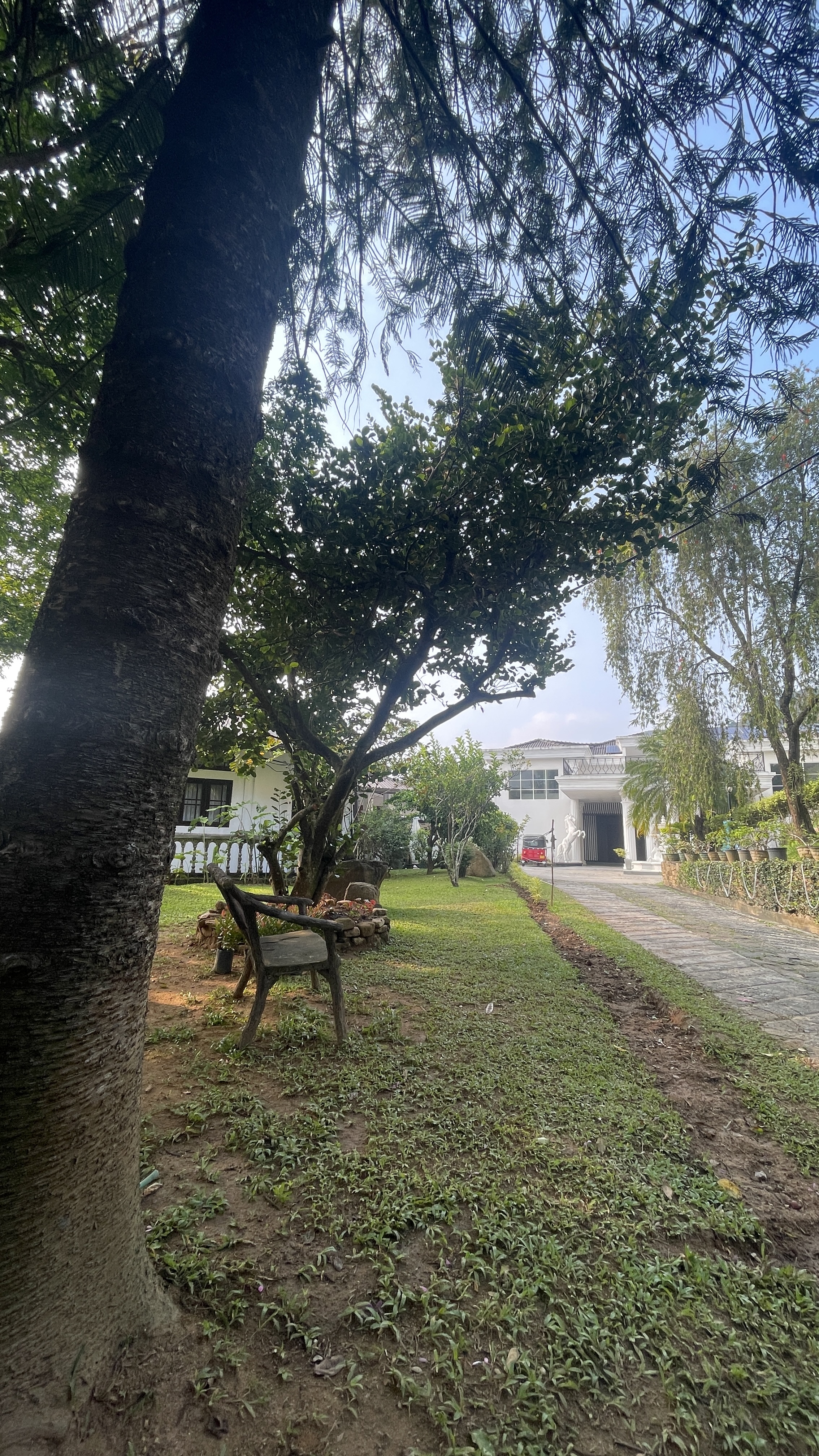 Villa surrounded by tropical gardens