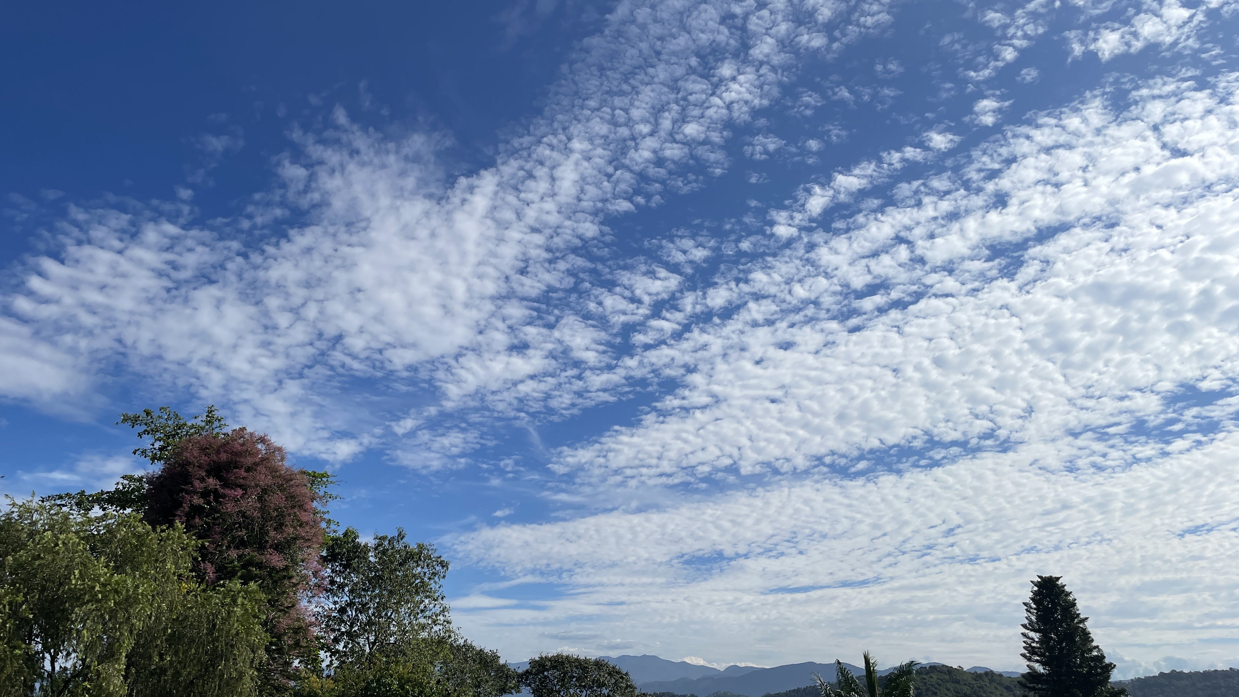 Scenic hillside view